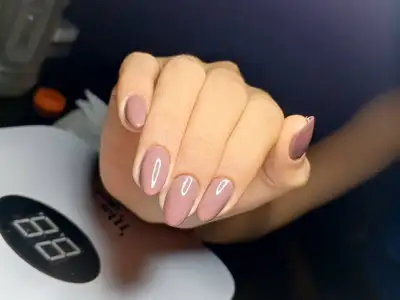 no-allow