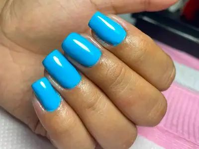 no-allow