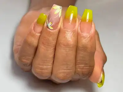 no-allow