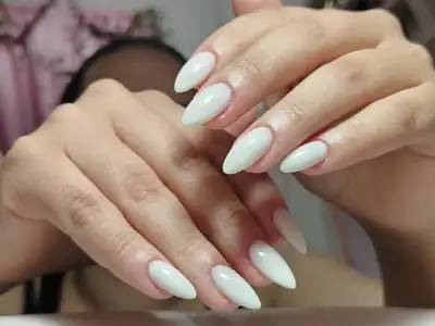 no-allow