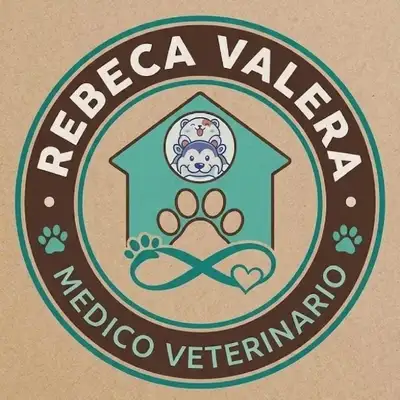 Consultorio Veterinario